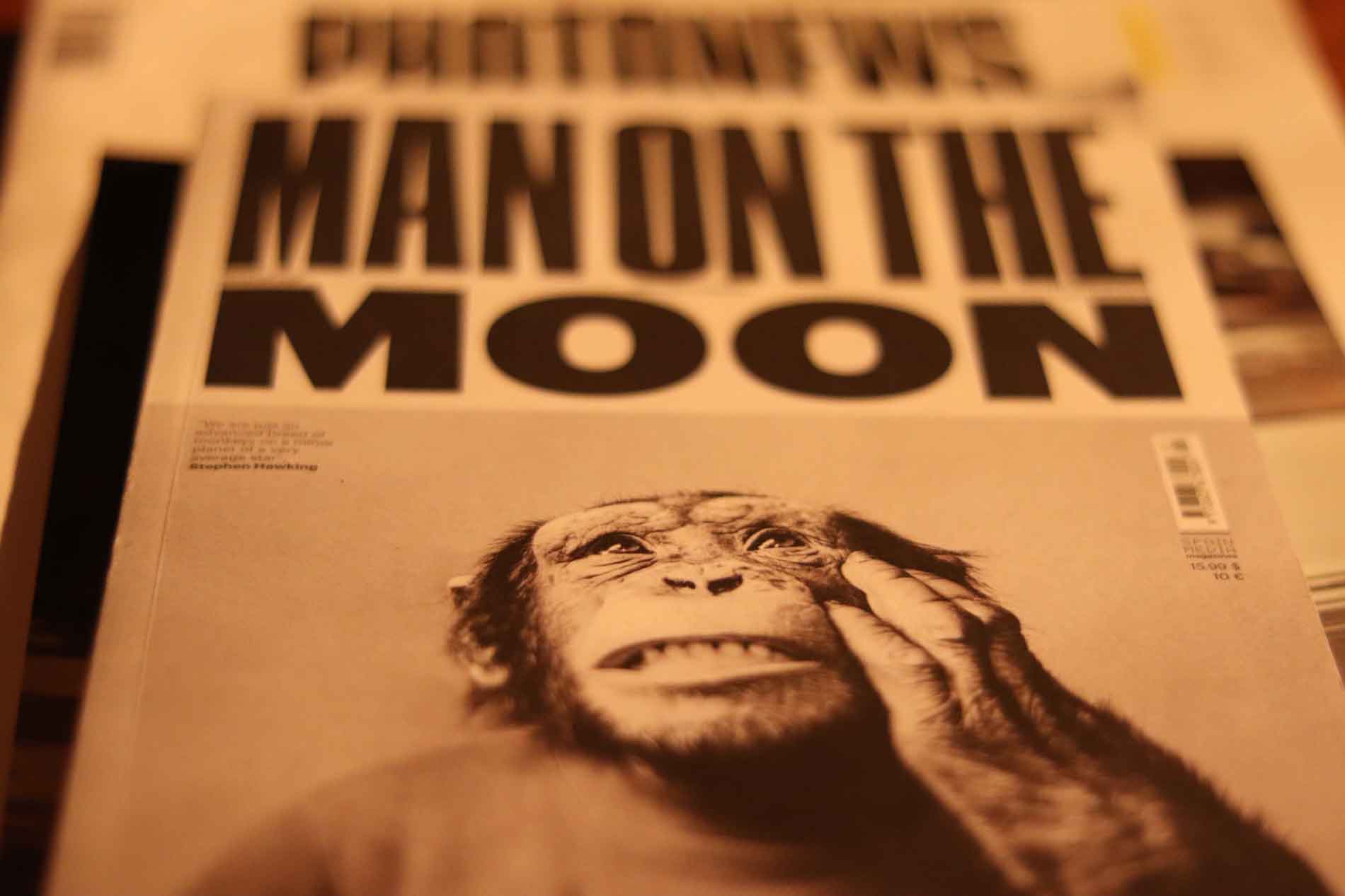 newspaper headline with monkey