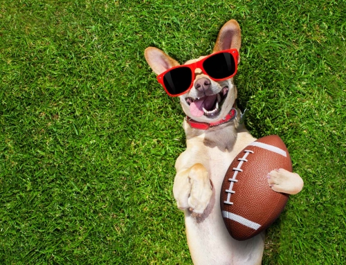 Using “Super Bowl” and NFL Terminology in Marketing